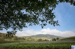 Blick vom Schambachhof Höfflin